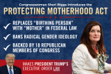 Protecting Motherhood Act Graphic