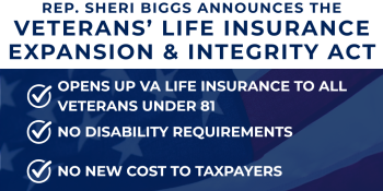 Veterans' Life Insurance Expansion & Integrity Act Graphic